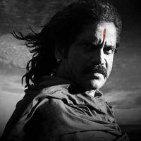 Rajanna Movie Wallpapers | Picture 116899